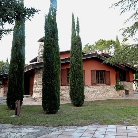 蒙特堡I Lari Castel Del Monte住宿加早餐旅馆 外观 照片