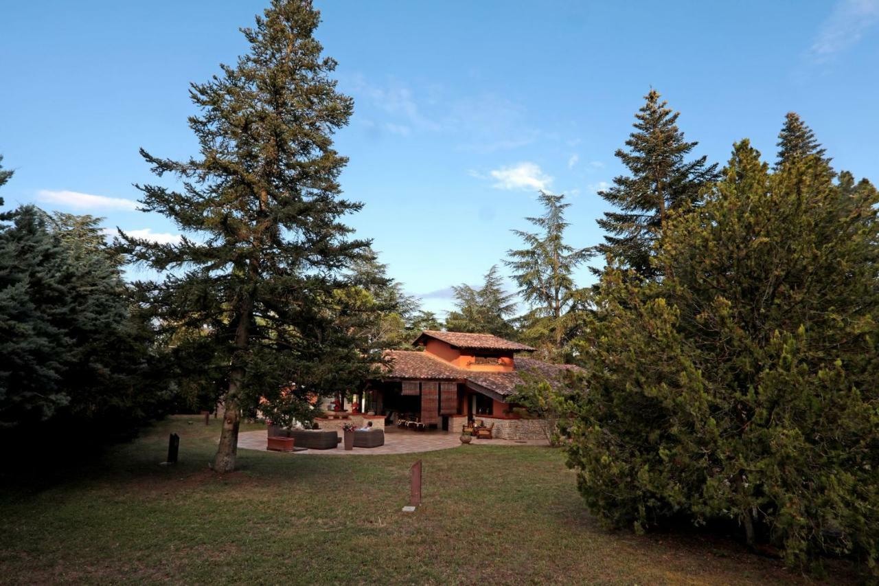 蒙特堡I Lari Castel Del Monte住宿加早餐旅馆 外观 照片